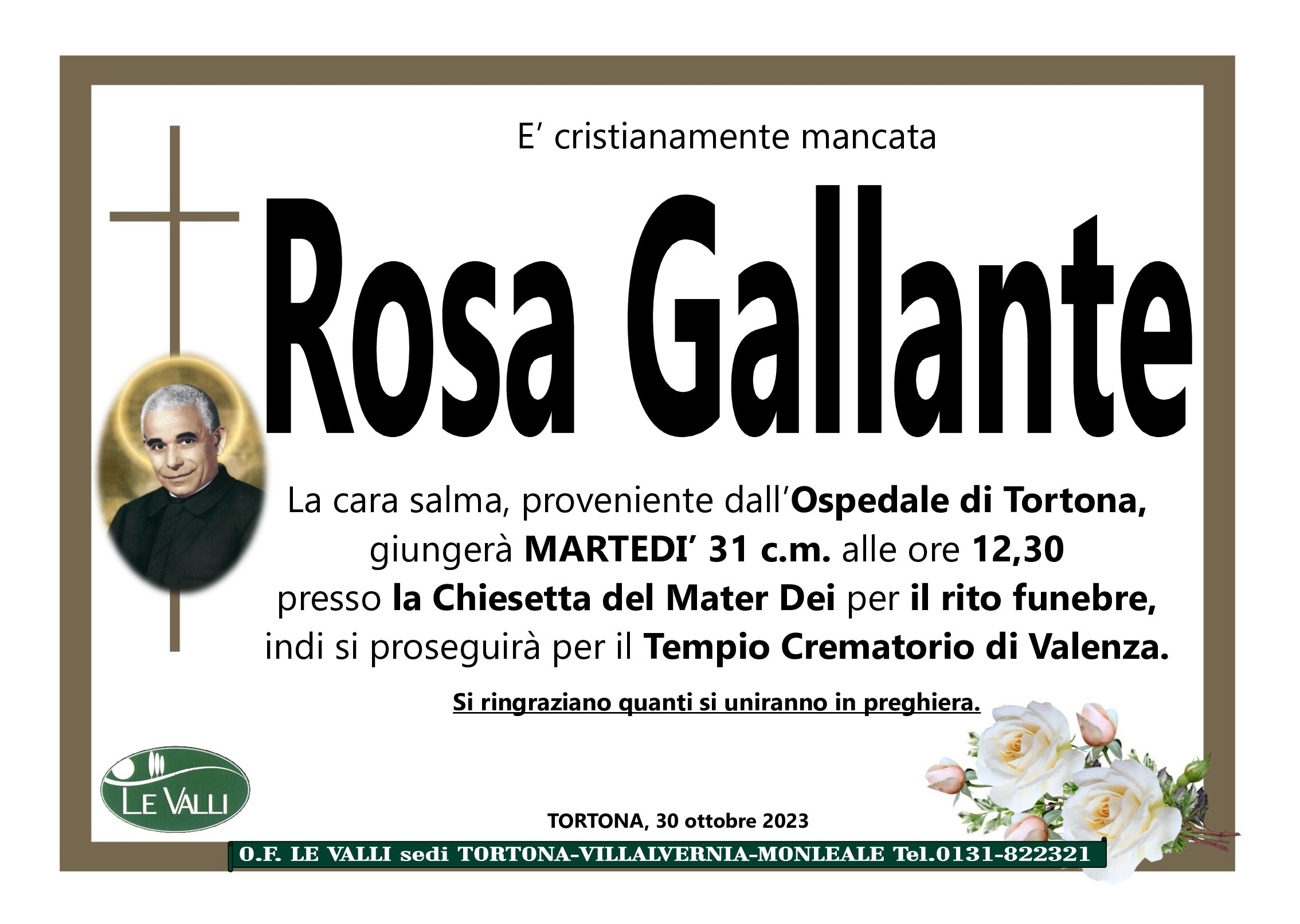 Rosa Gallante